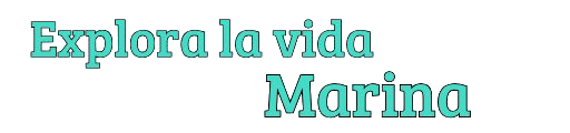 exploralavidamarina.com