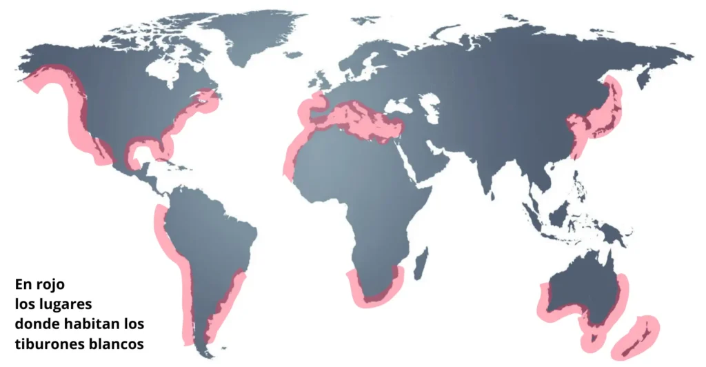 Mapa mundial donde se marcan en rojo los lugares donde habita el tiburón blanco